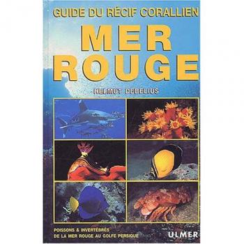 Mer Rouge : Guide du récif corallien