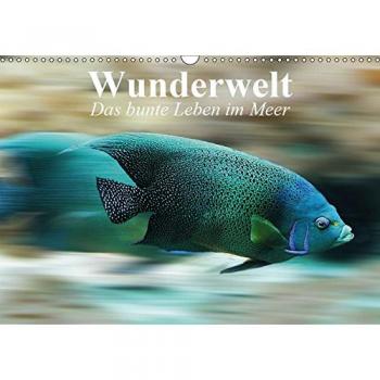 Wunderwelt. Das bunte Leben im Meer