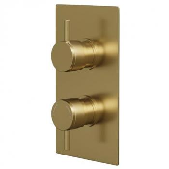 Colore Brushed Brass Twin Shower Valve with Knurled Control Handles