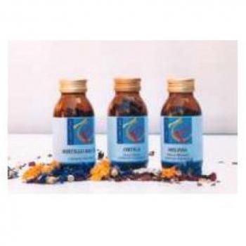 Alga de Carvão 100 Cápsulas 500 mg