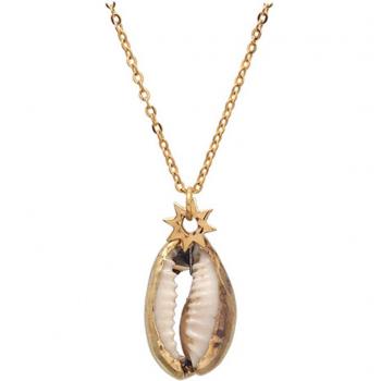 Cowrie Elegance Steel Necklace – Lily Collection