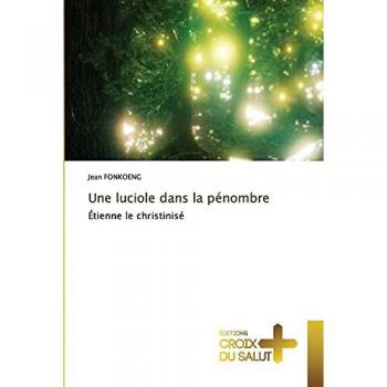 Une luciole dans la pénombre: Étienne le christinisé