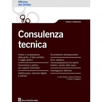 Consulenza tecnica