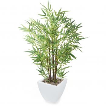 TrueLeaf Bamboo Trim