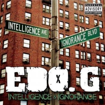 Intelligent & Ignorance