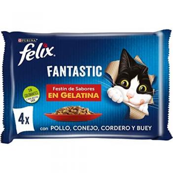 Alimentazione Felina Fantastica Multi-Set 12x85 g