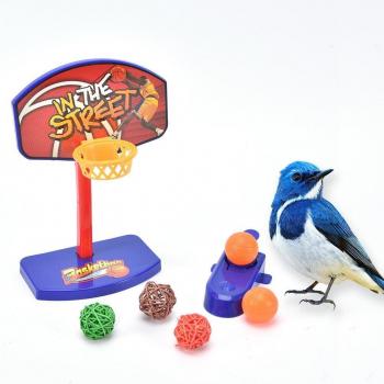 Birdie Chew Toy Set