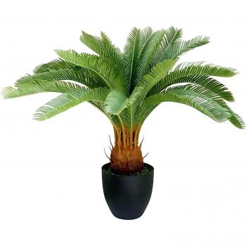70cm Deluxe Tropical Cycas Palm Plant