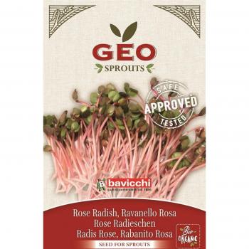 Bavicchi Graines Germées China Rose, 20 g