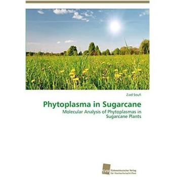 Phytoplasma in Sugarcane