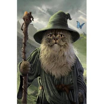 Pyramid International Poster Catdalf 30x30