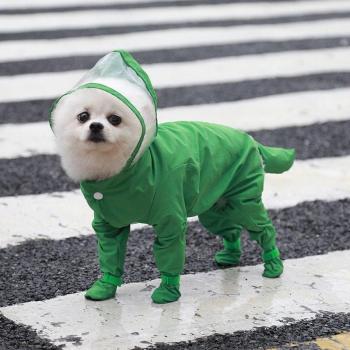 Hooded Rain Gear for Dogs and Cats