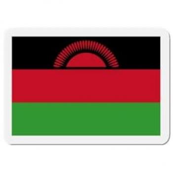 Malawi Flag Fridge Magnet Set