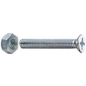 Fornitura di Viti T.P. 5x30 con Dadi (20)
