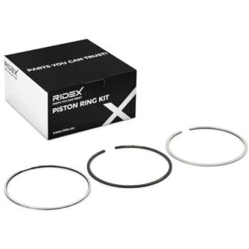 Ridex 444P0282 Fasce Elastiche Completo