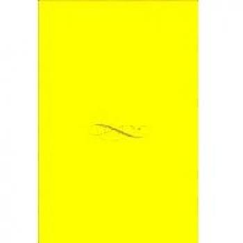 Fundamentos de un sistema europeo del Derecho Penal.: Libro-homenaje a Claus Roxin.