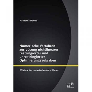Numerische Verfahren zur Lösung nichtlinearer restringierter und unrestringierter Optimierungsaufgaben: Effizienz der numerischen Algorithmen
