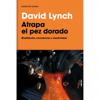 ATRAPA EL PEZ DORADO