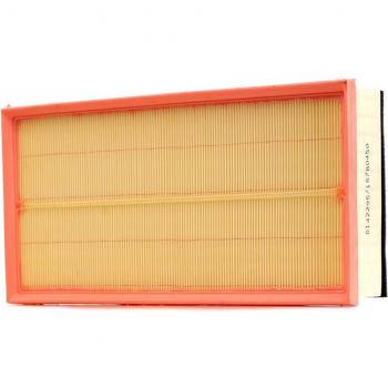Filtro Aria Rivestito RIDEX 8A1613 7L0129620A