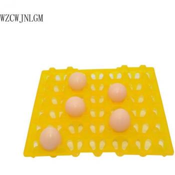 30-Piece Egg Incubator Tray