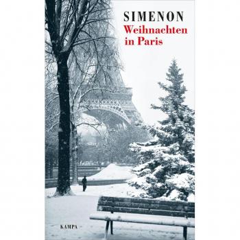 Weihnachten in Paris
