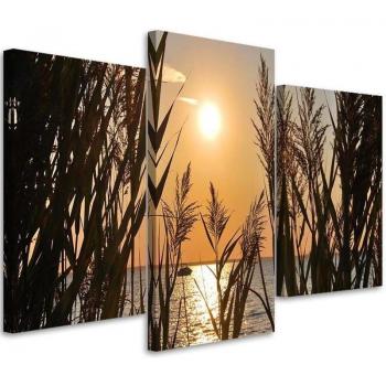 Nature's Embrace Canvas Print 60x40