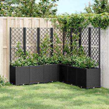 Pot de Fleurs Extérieur Treillis Noir 160 × 160 × 140 cm – VidaXL