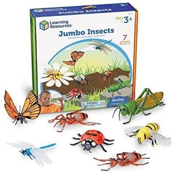 Big Bug Educational Bundle