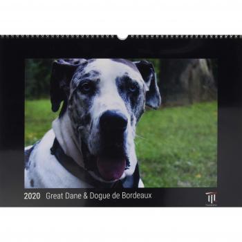 Great Dane & Dogue de Bordeaux 2020