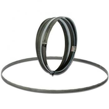 Femi Lame a Nastro Bimetalliche 1735x13x0,9 mm Set di 5 pezzi 6/10 Z/1