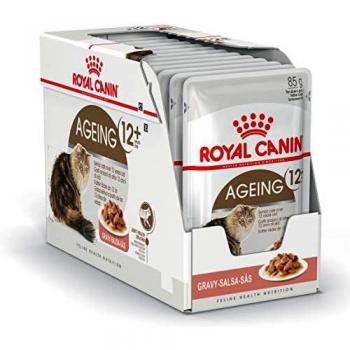 Lot Royal Canin 24 x 85 g