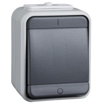 Surface Mounted Grey Two‑Position Switch