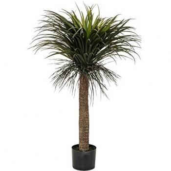 Creatore d'Interni: Yucca Artificiale Tropicale 150 cm