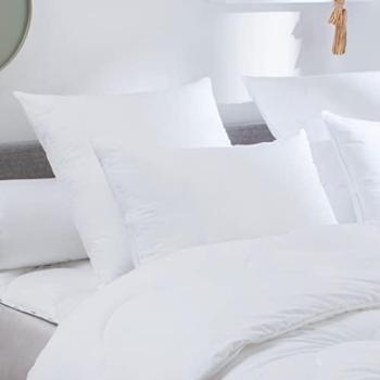 Dodo Oreiller Medium Toucher Duvet Eco Green 40/60