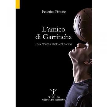 L'amico di Garrincha. Una piccola storia di calcio