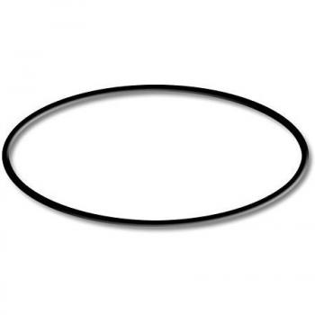 Anello O‑Ring Nuovo per Chiarificatore Laghetto Sunsun 72W CUV‑272