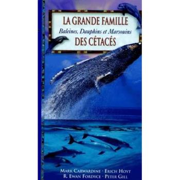 La Grande Famille Des Cétacés. Baleines, Dauphins, Et Marsouins