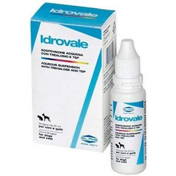 IDROVALE 25 ML
