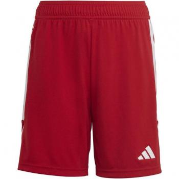 Adidas Tiro 23 League Shorts für Jungen und Mädchen