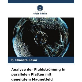 Analyse der Fluidströmung in parallelen Platten mit geneigtem Magnetfeld