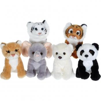 Peluche