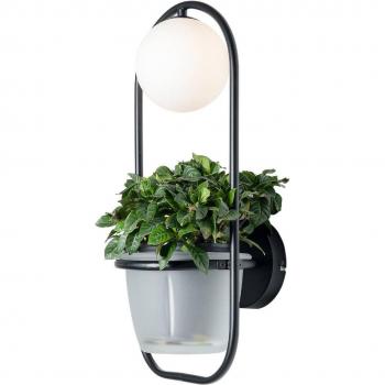 Lámpara de pared 'Orna' (Moderno) de Lindby para Salón & Comedor (1 llama, G9)