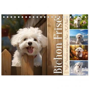 Bichon frisé weiße Hündchen mit lockigem Haar (Tischkalender 2025 DIN A5 quer) CALVENDO Monatskalender