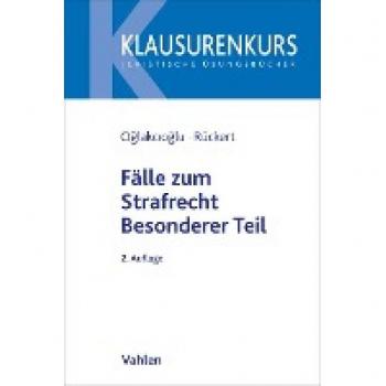 Fälle zum Strafrecht Besonderer Teil (Klausurenkurs)