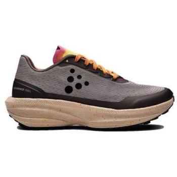Scarpe Craft Endurance Trail grigio beige
