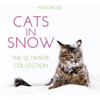 Cats in Snow: The Ultimate Collection