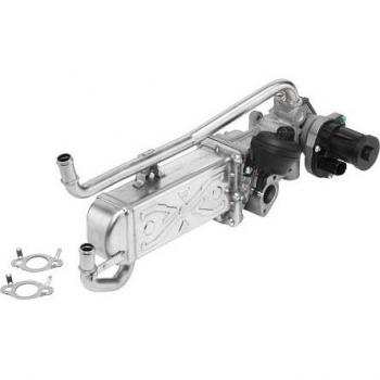EGR module BorgWarner 710862R