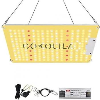 COKOLILA 1000 W Gemüse