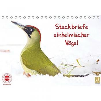 Steckbriefe einheimischer Vögel