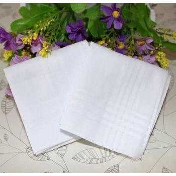 10pcs White Cotton Handkerchiefs for Men and Women